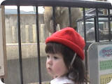 zoo