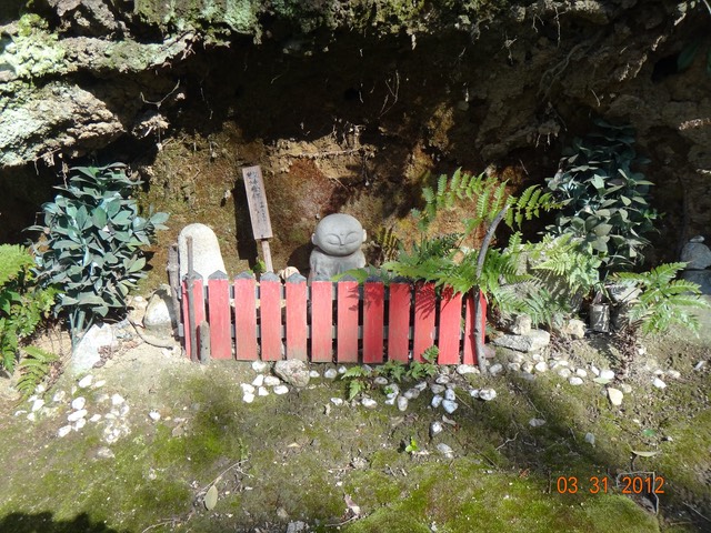 DSC00481